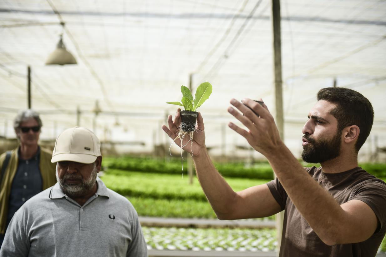 FAO launches AgriNation Startup Cup for youth in agrifood systems
