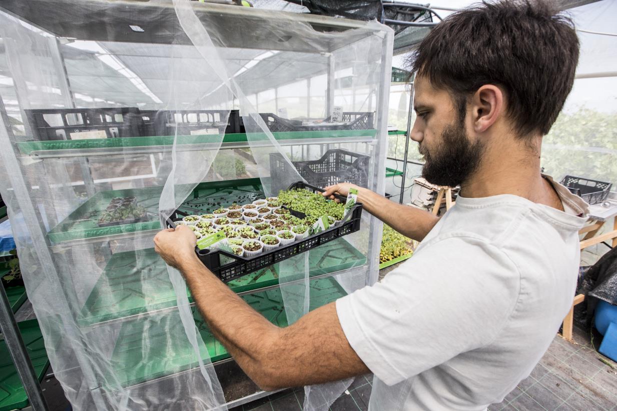 AgriNation Startup Cup selects four finalist teams