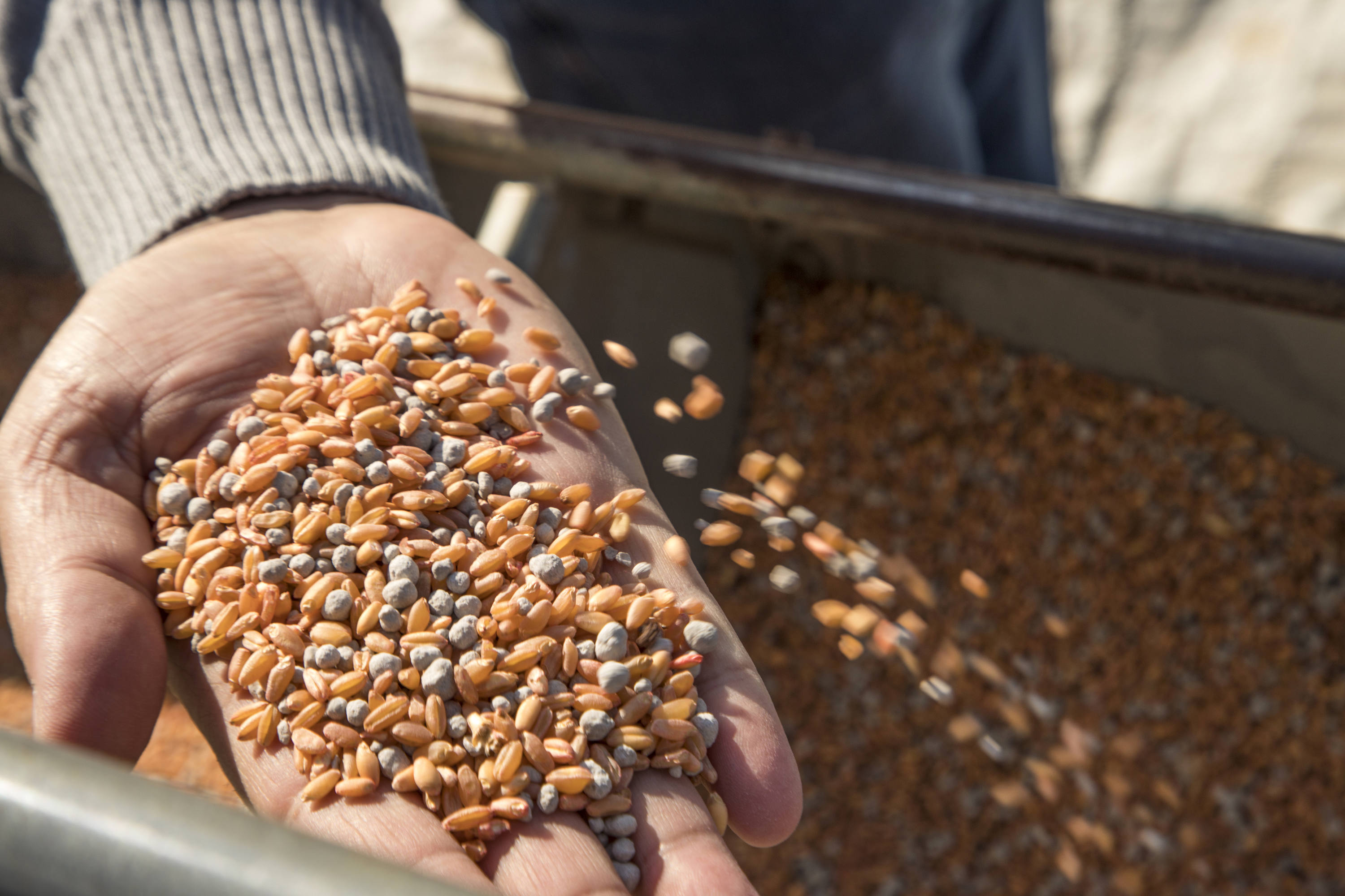 FAO holds high-level meeting to discuss regional priorities amidst ongoing crises and devise roadmap for agrifood system transformation