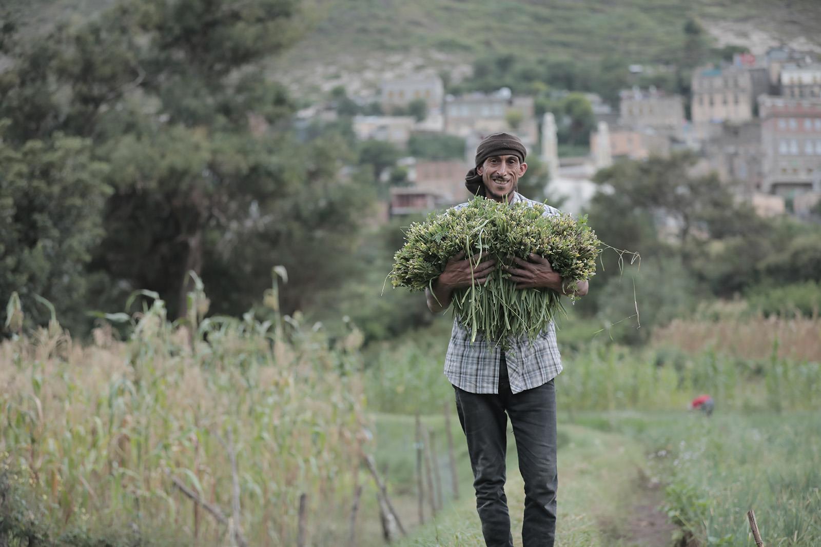 FAO launches a new report informing on the status of land and water resources in the Near East and North Africa region