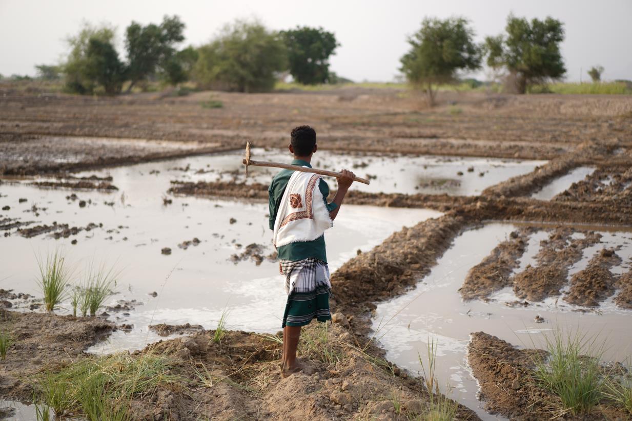 FAO drives action on water scarcity in the Near East and North Africa region