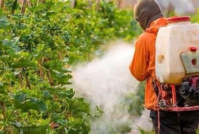 FAO concludes the regional workshop on the Sound Management of Pesticides in Jordan