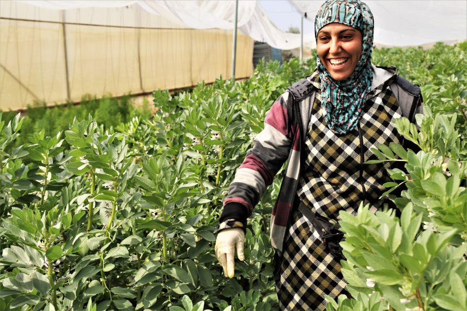 Iman Turkman: “We are all actively working together.”