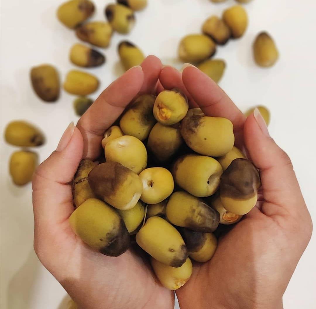 Family farmers running Oman’s only organic farm