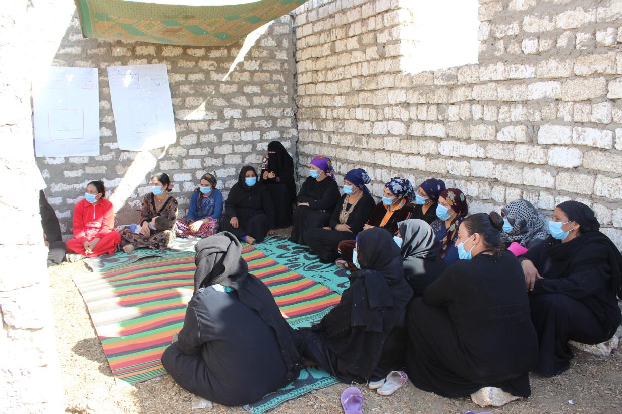Women’s Farmer Field School activities start in two villages in Minya governorate and roundtable discussion between strategic partners on FFS’s.