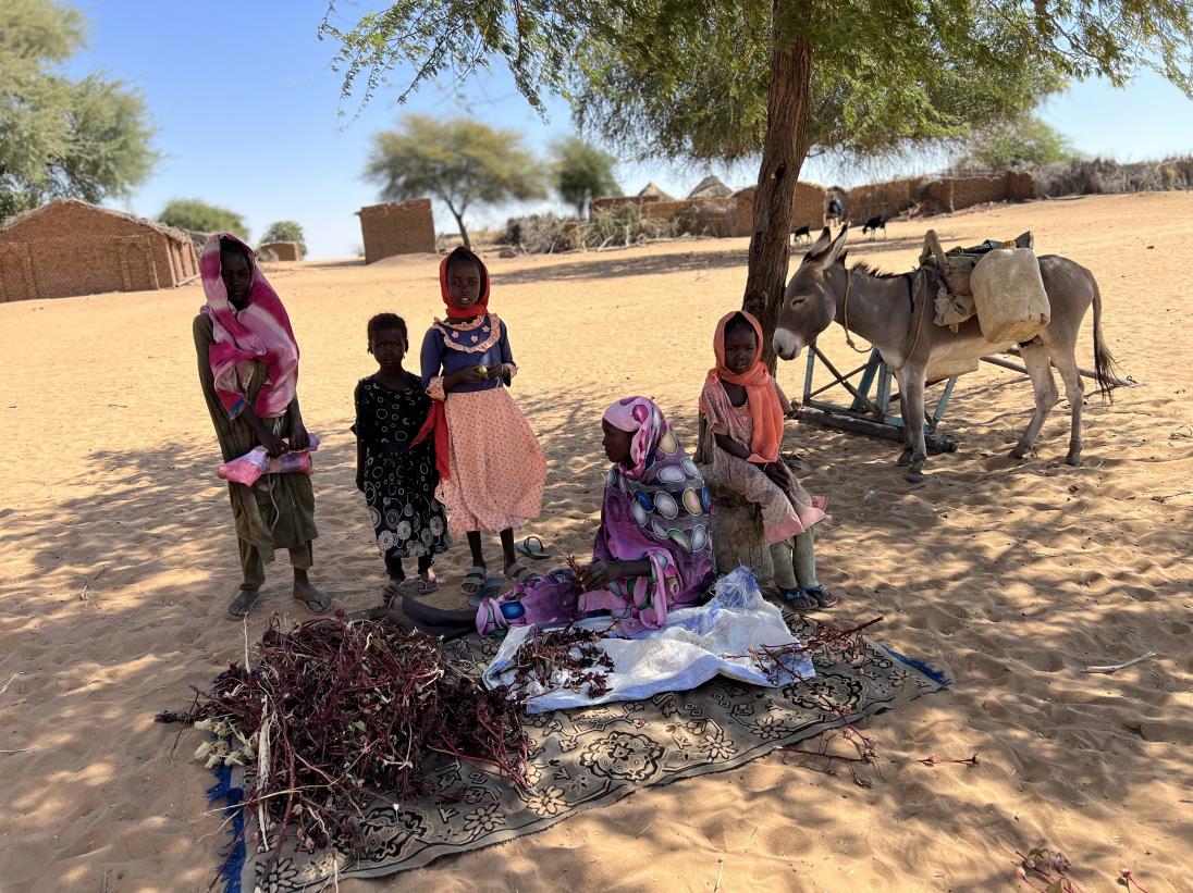 Sudan: acute food insecurity sparked by the ongoing crisis is set to escalate in coming months