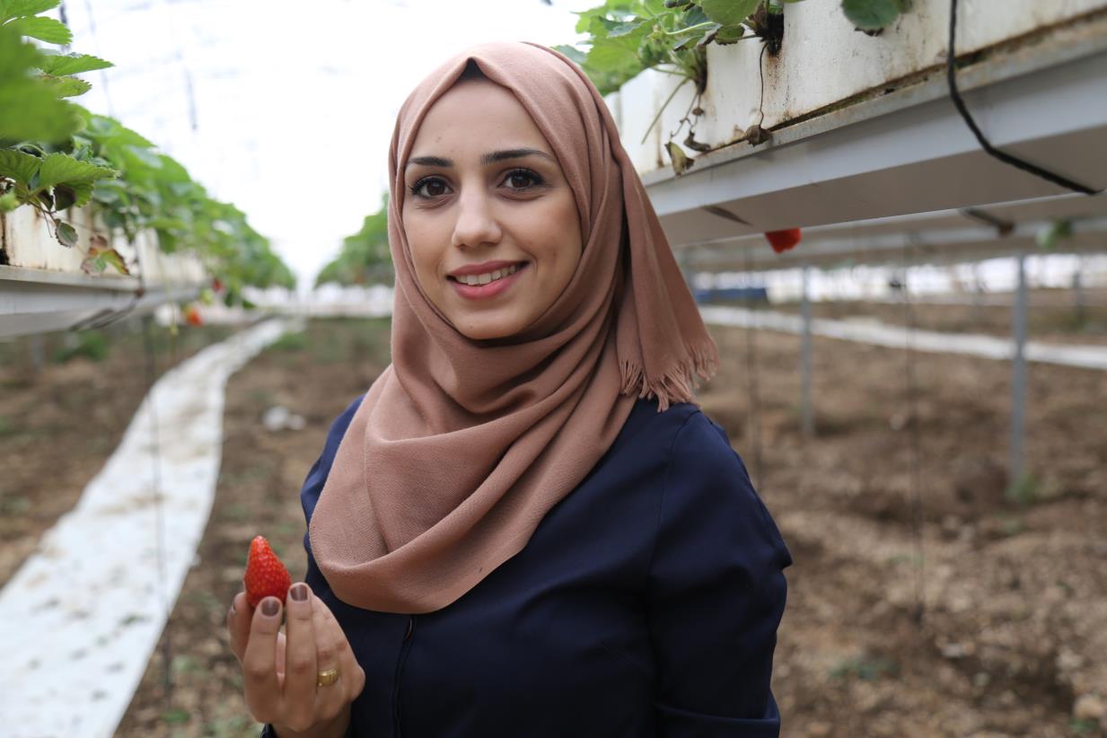 Harnessing the potential of Palestinian youth to contribute to the agri-food sector