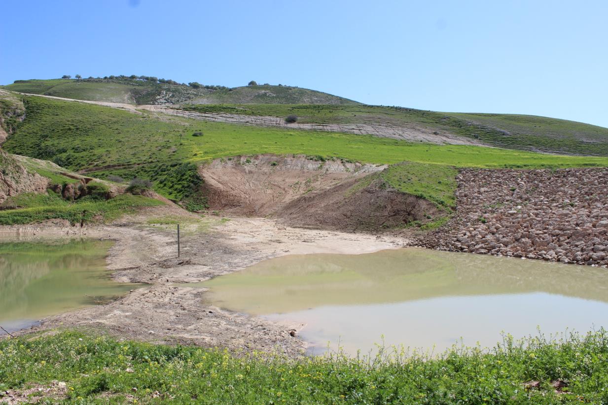FAO launches a Rainwater Harvesting webinar series aiming to provide an overview of applications and illustrates the diversity of approaches.