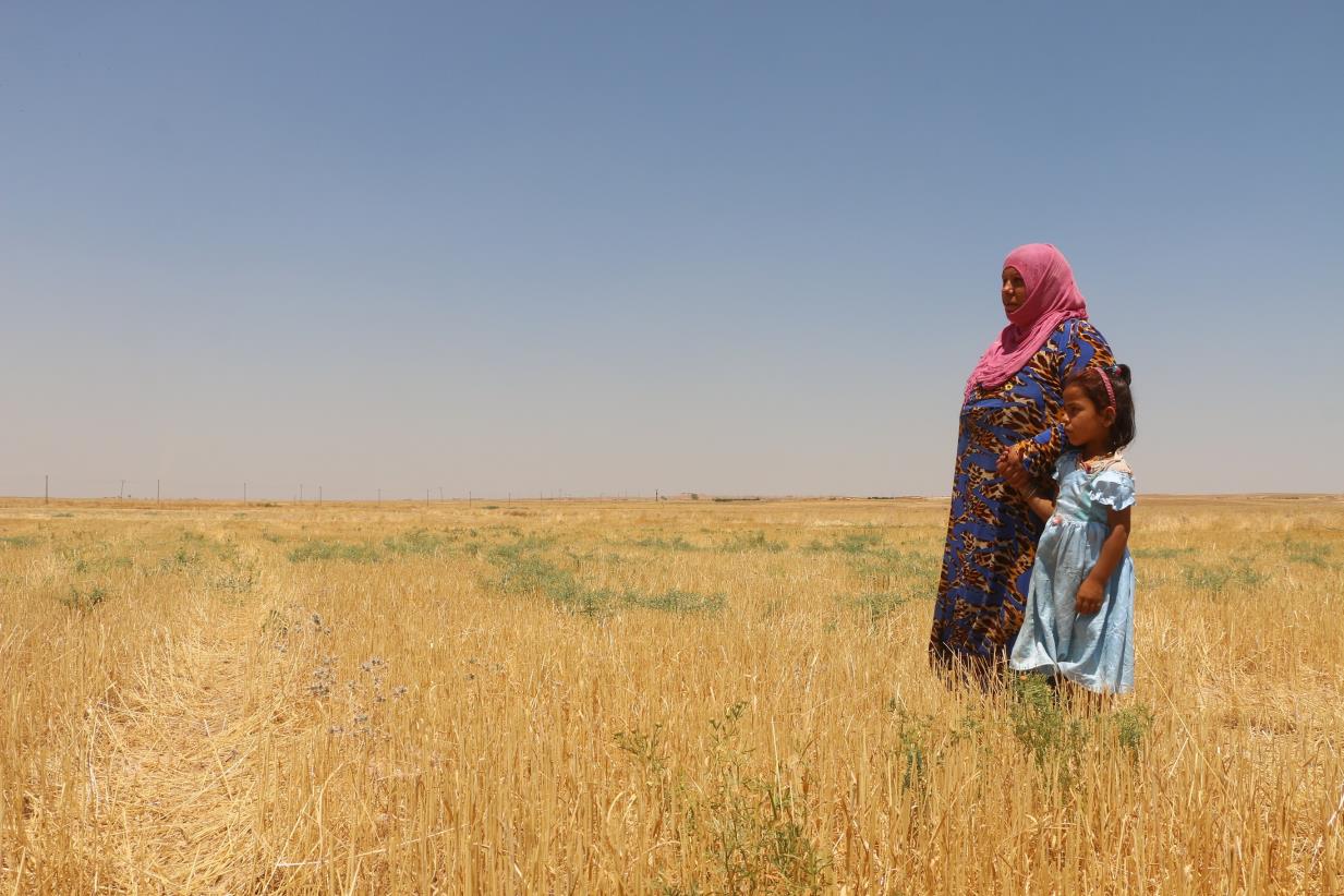 FAO and the Green Climate Fund to support the Syrian Arab Republic to mitigate and adapt to the effects of climate change