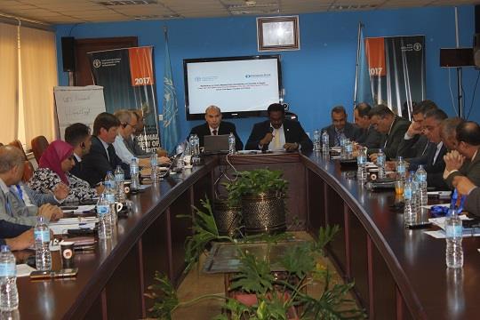 FAO calls for standardization of data quality methodologies and increased supply chain efficiency and food security in the cereal sector in Egypt