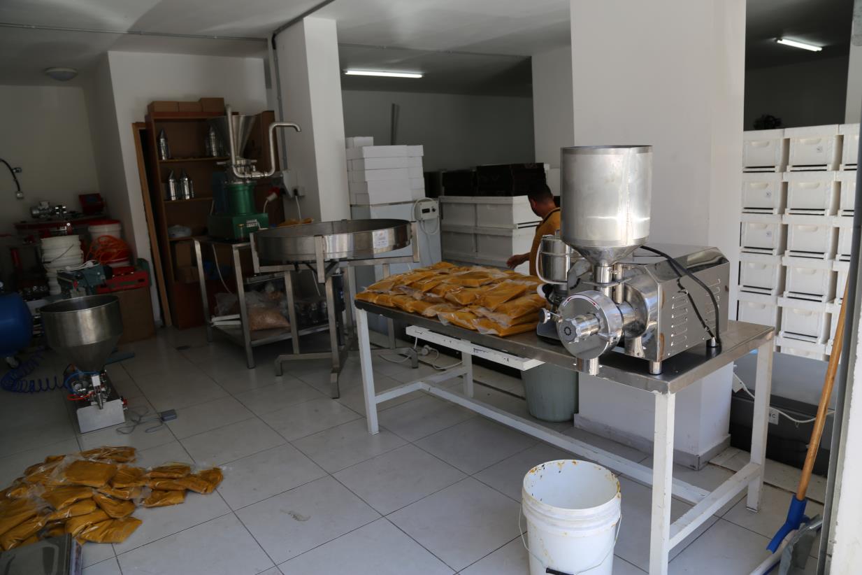 Driving innovation in the Palestinian beekeeping industry through beeswax recycling