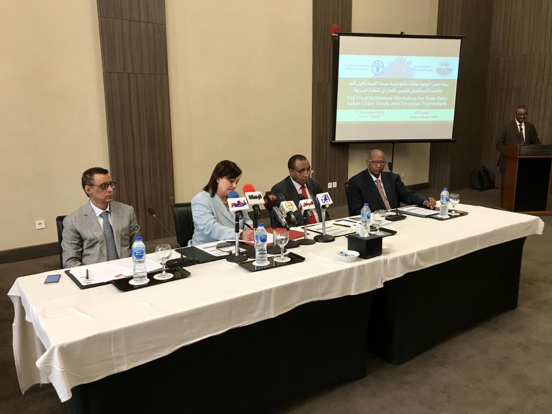 FAO and AOAD promote sustainable development of date palm value chain in Near East and North Africa region