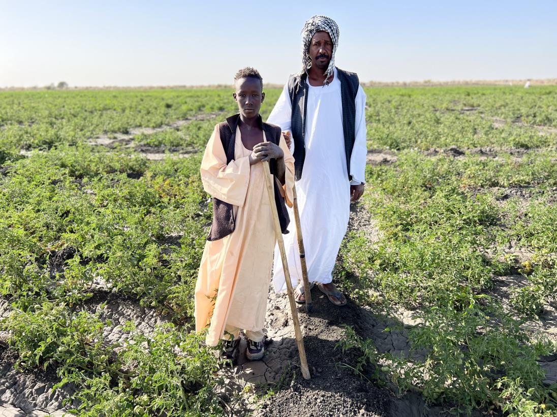 Food security crisis intensifies amid ongoing conflict and economic challenges