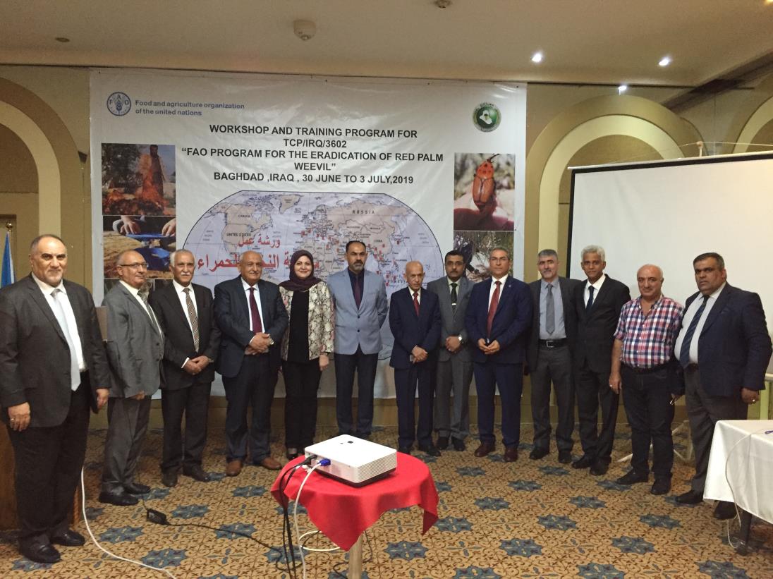 FAO CONDUCTS A TRAINING PROGRAM FOR THE ERADICATION OF RED PALM WEEVIL IN IRAQ