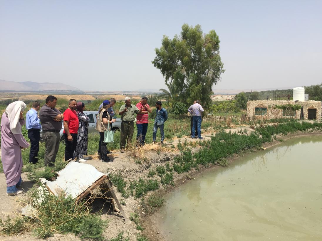 FAO evaluates Farmer Field Schools in Jordan, Palestine under Water Efficiency, Productivity and Sustainability project