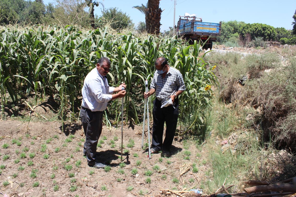 Water level and Ec sensor equipment installation and training in Al-Minya and Kafr ElSheikh governorates