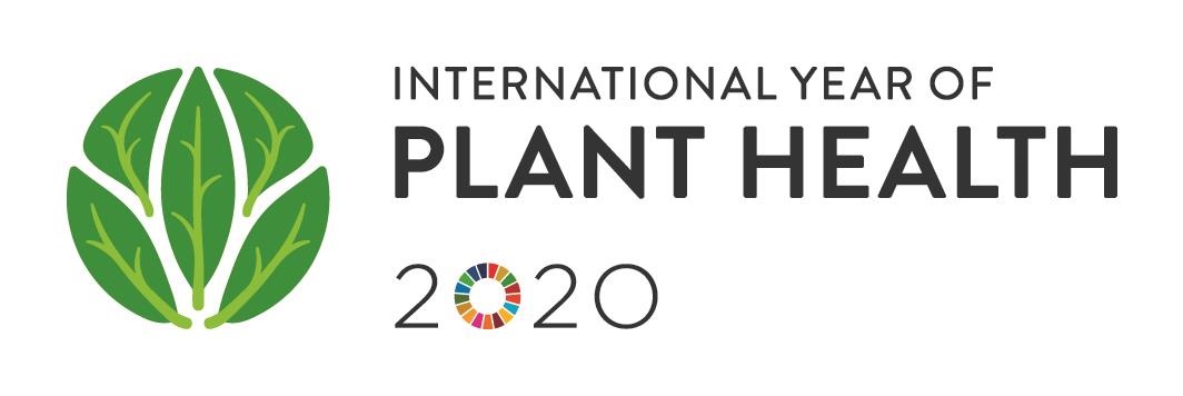 IYPH2020_Logo_Horizontal__EN