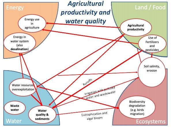Hands on the Water-Energy-Food Nexus - A new approach to support food security and sustainable agriculture in the NENA region