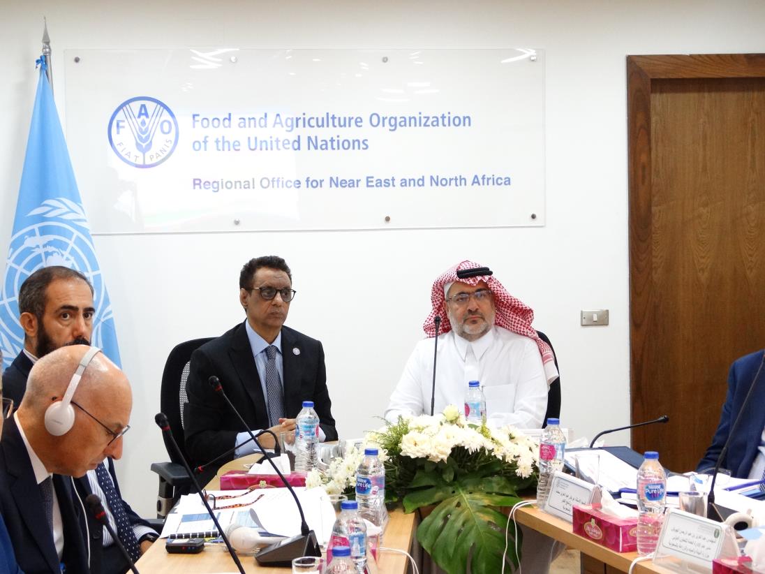 FAO and Saudi Arabia renew their cooperation to a sustainable future of food and agriculture