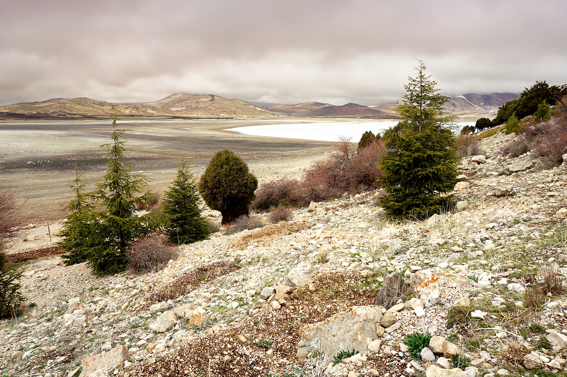 Restoration key to healthy Mediterranean forests