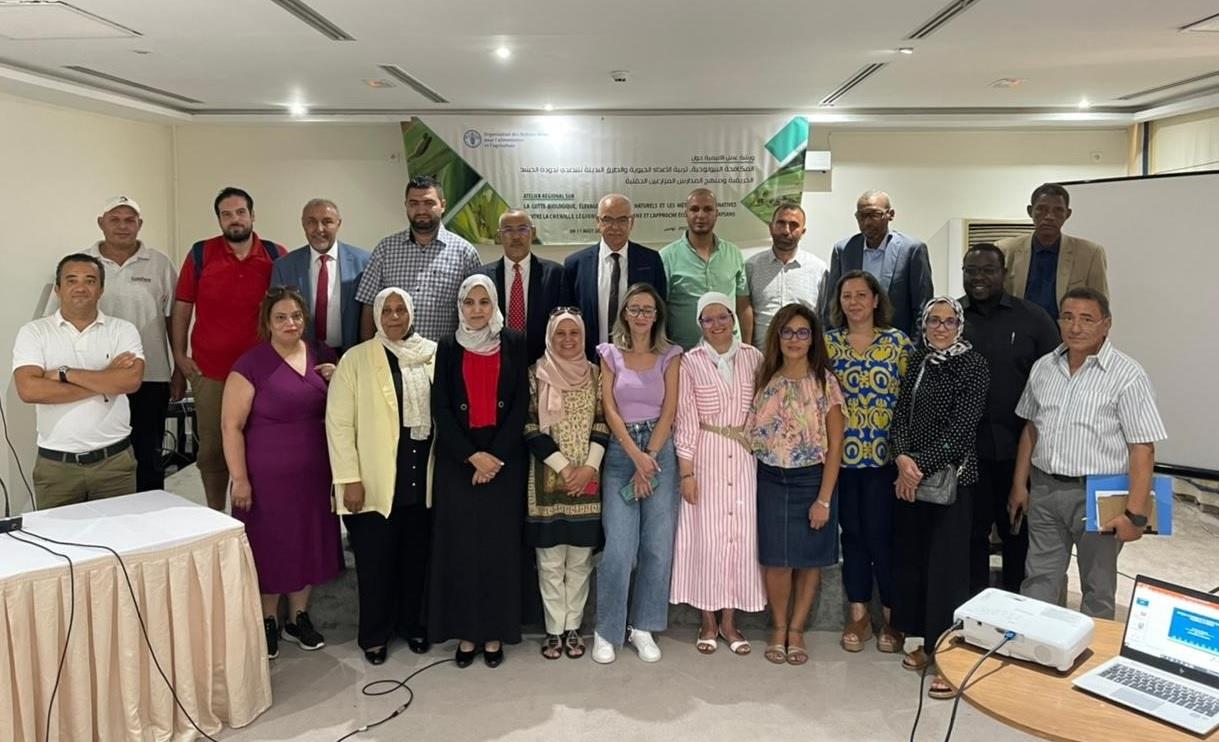 FAO Strengthens Biological Control Capacities against Fall Armyworm in the five Maghreb countries