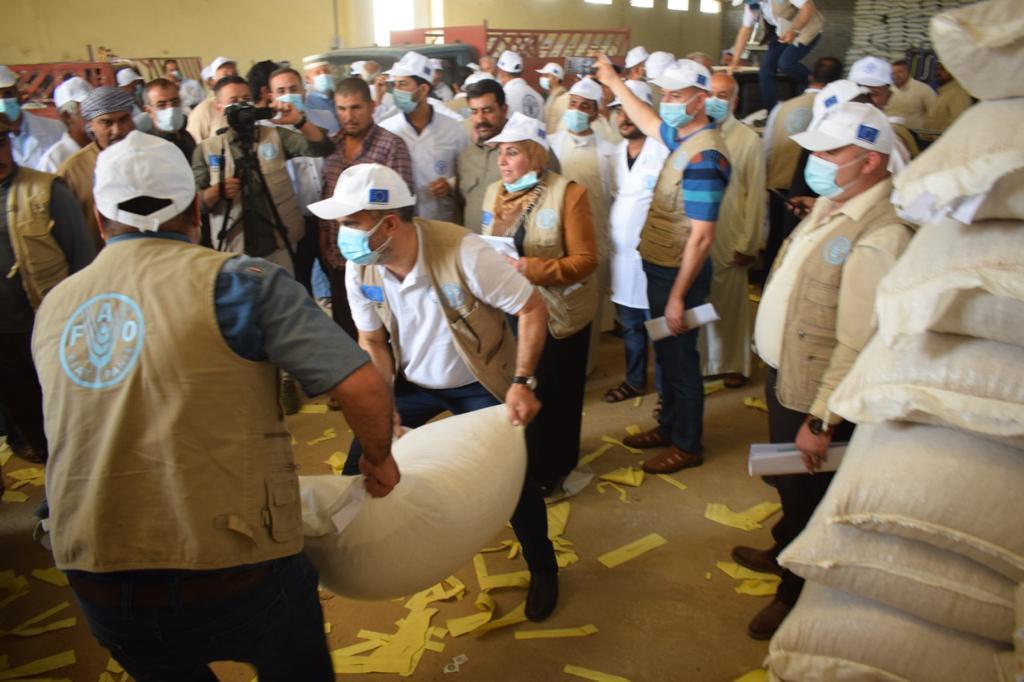 Support to agricultural livelihoods of rural and peri-urban returnees and communities in Nineveh Governorate, Iraq