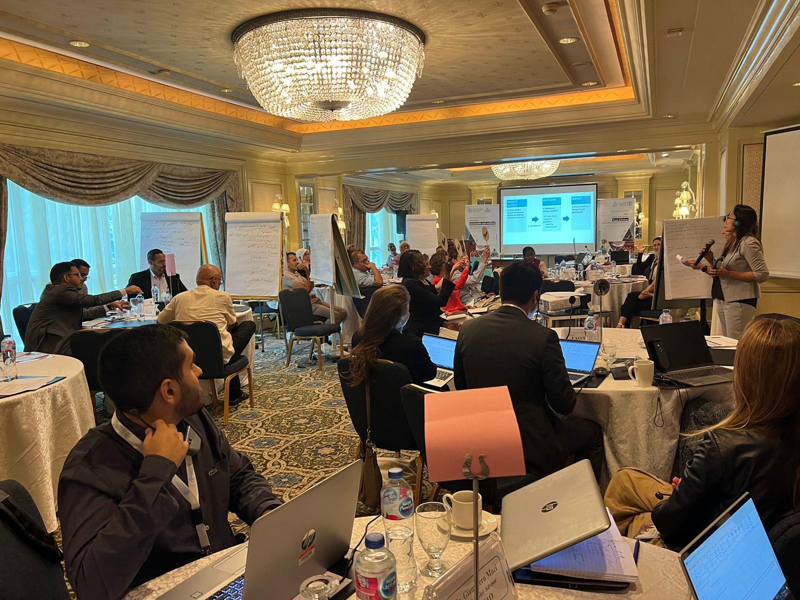 FAO technical workshop on developing sustainable and resilient agrifood value chains in conflict