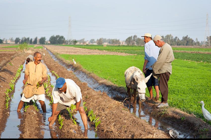 Towards a new generation of policies and investments in agricultural water