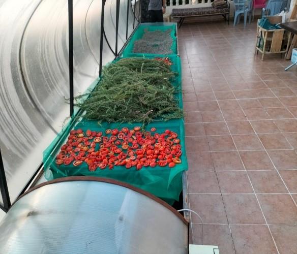 Establishment of water-food-ecosystem nexus targeted household food processing units