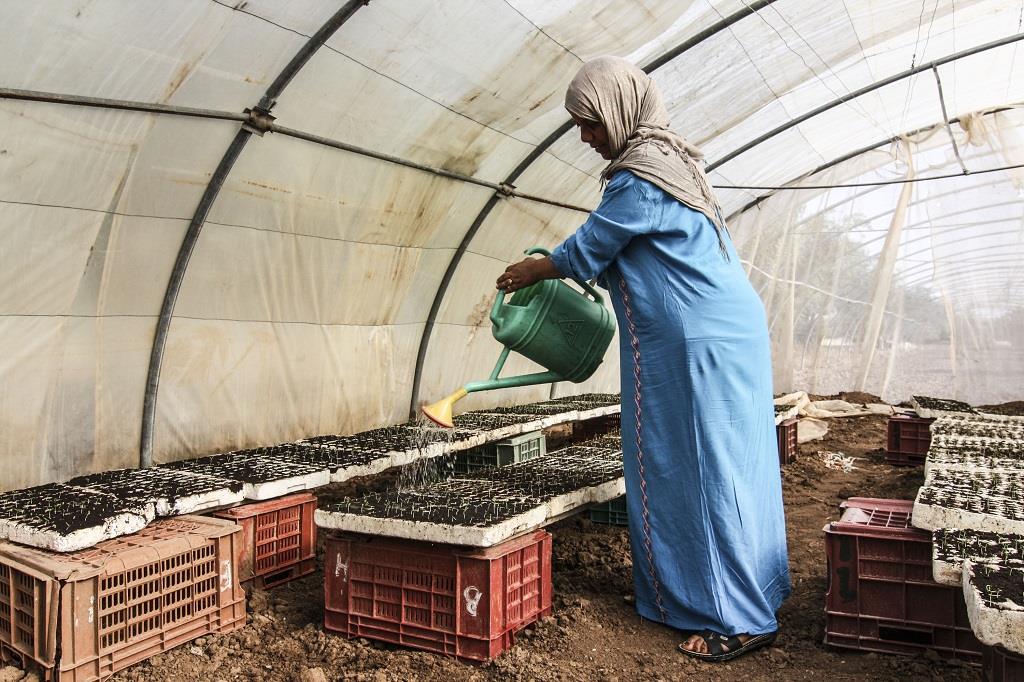 FAO takes part in Cairo Water Week