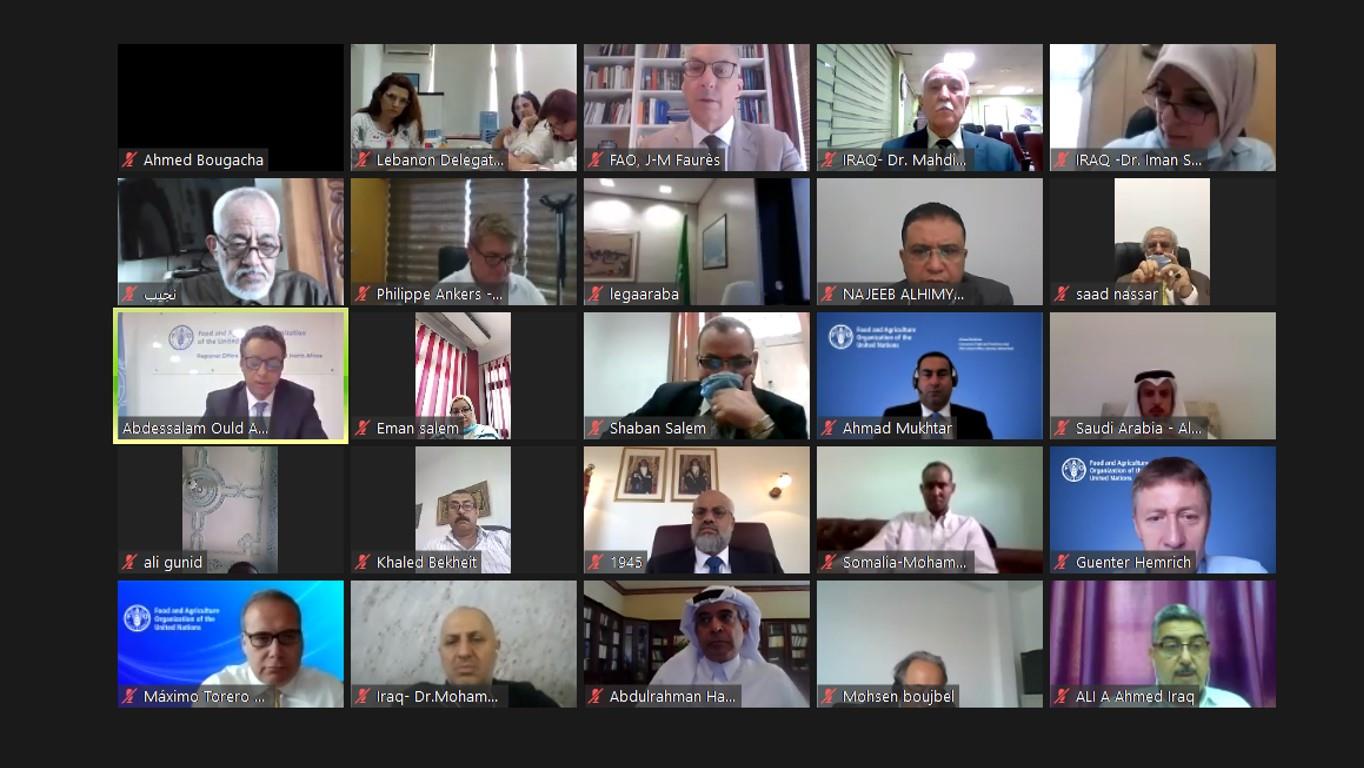 FAO launches first Virtual Regional Consultative Technical Meeting