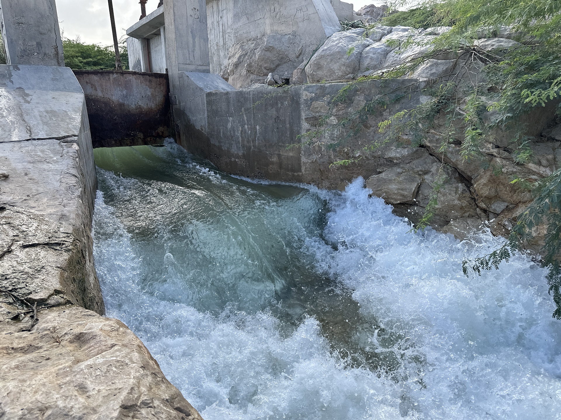 World Water Day 2025: FAO’s Water Initiatives in Hadramout Drive Resilience and Food Security