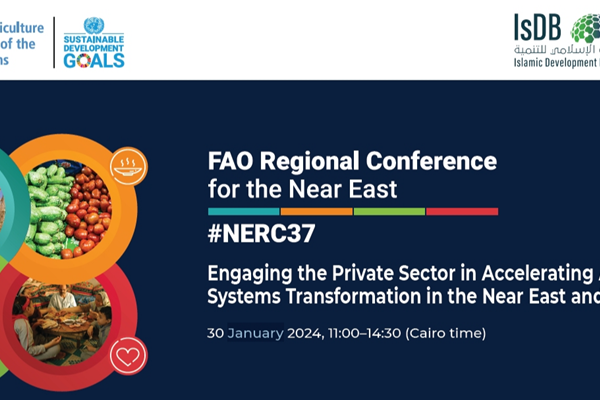 save the date - NERC 37 - PRIVATE SECTOR BANNER