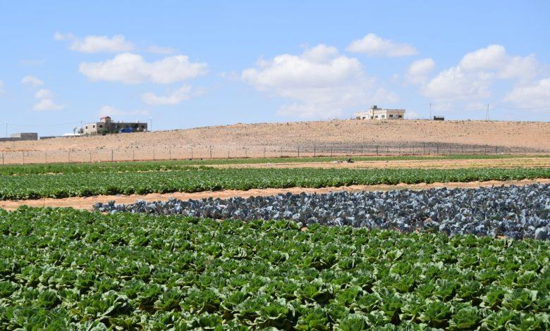 Virtual meeting on advancing advisory services for small-scale producers , family farmers