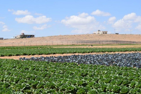 small-farmers-780x470