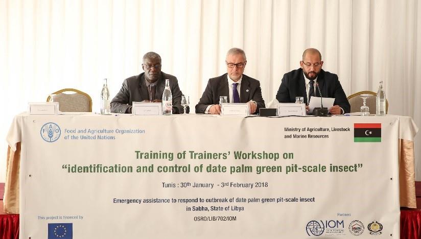 Training of trainers to manage the green scale insect pest on date palms in Libya