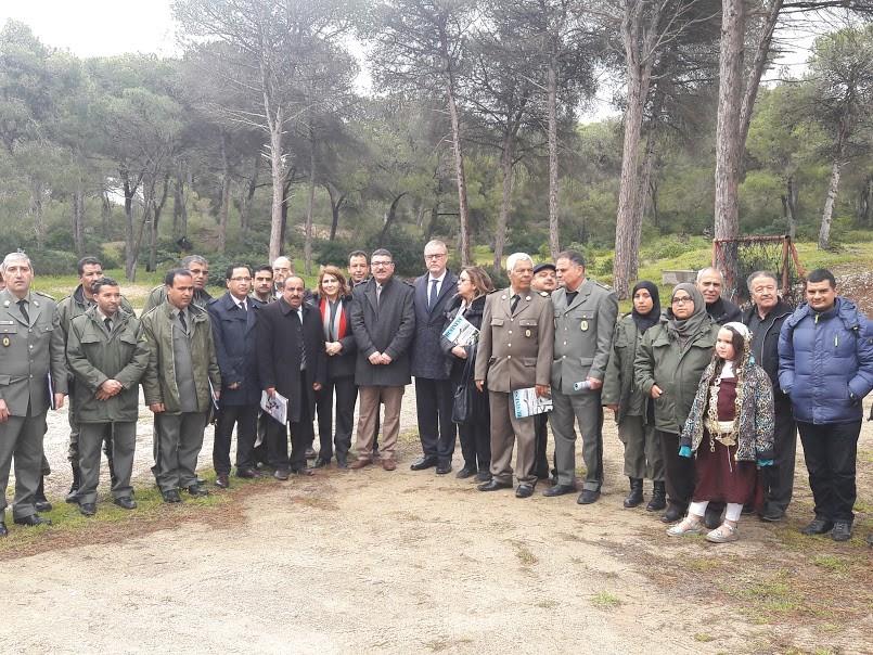 FAO celebrates International Forestry Day with Tunisia