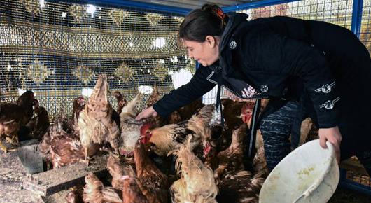 Kuwait supports efforts to reduce hunger in Syria