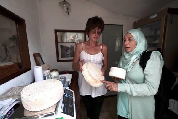 Syrian Image