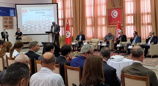 Presentation of the First National Strategy of Veterinary Services in Tunisia by 2030