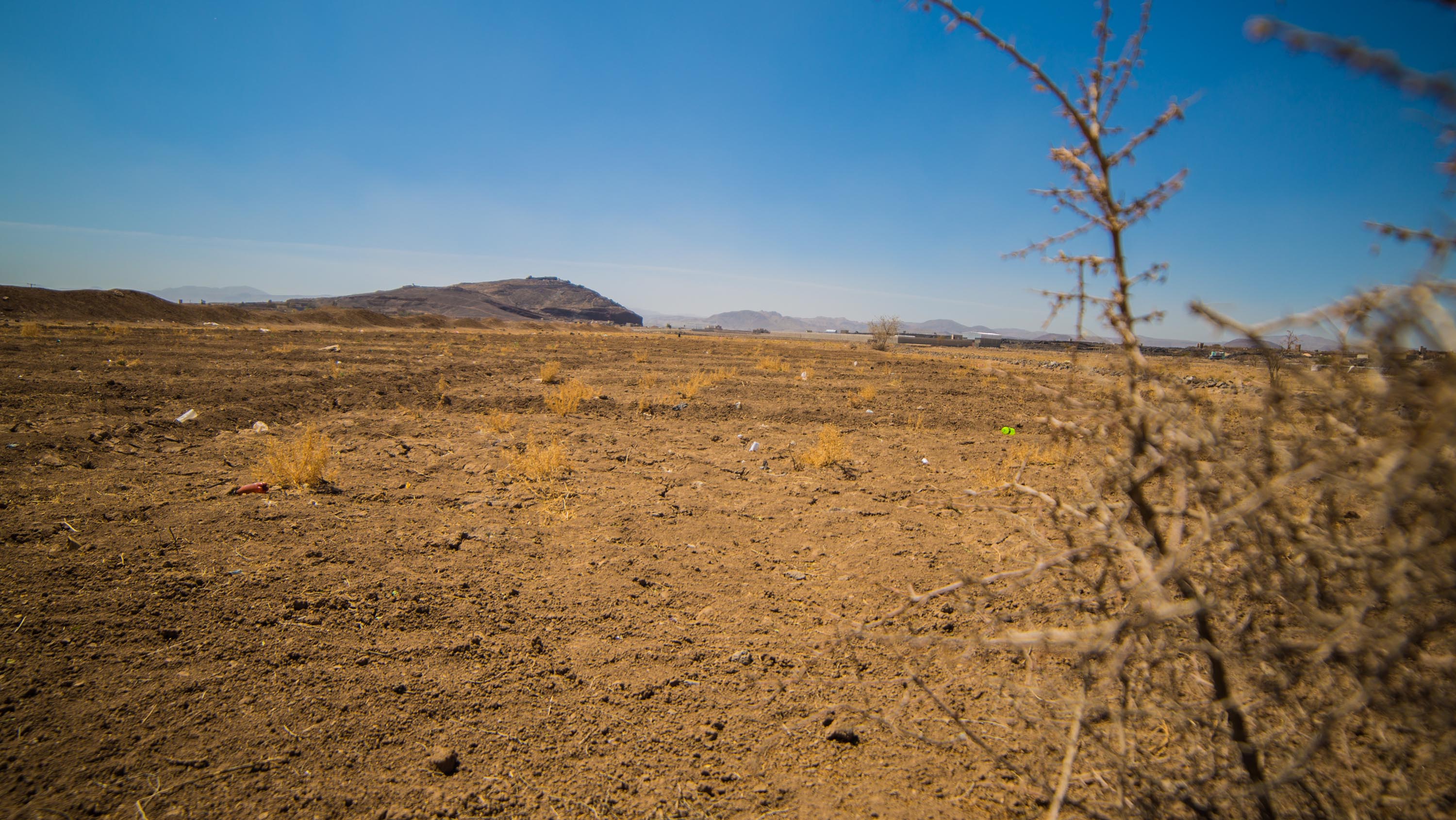 NENA region takes bold step towards ecosystem restoration with new regional framework