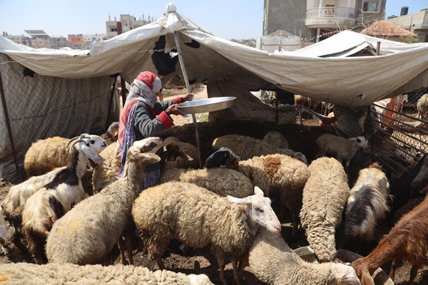 uf15wyw-20240408_gazastrip_po_0o7a2489