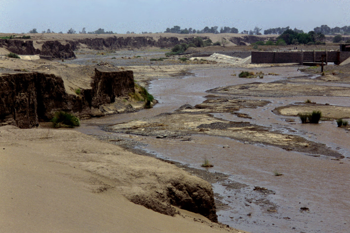 Desertification and Drought Day 2024: United for Land, Our Legacy, Our Future