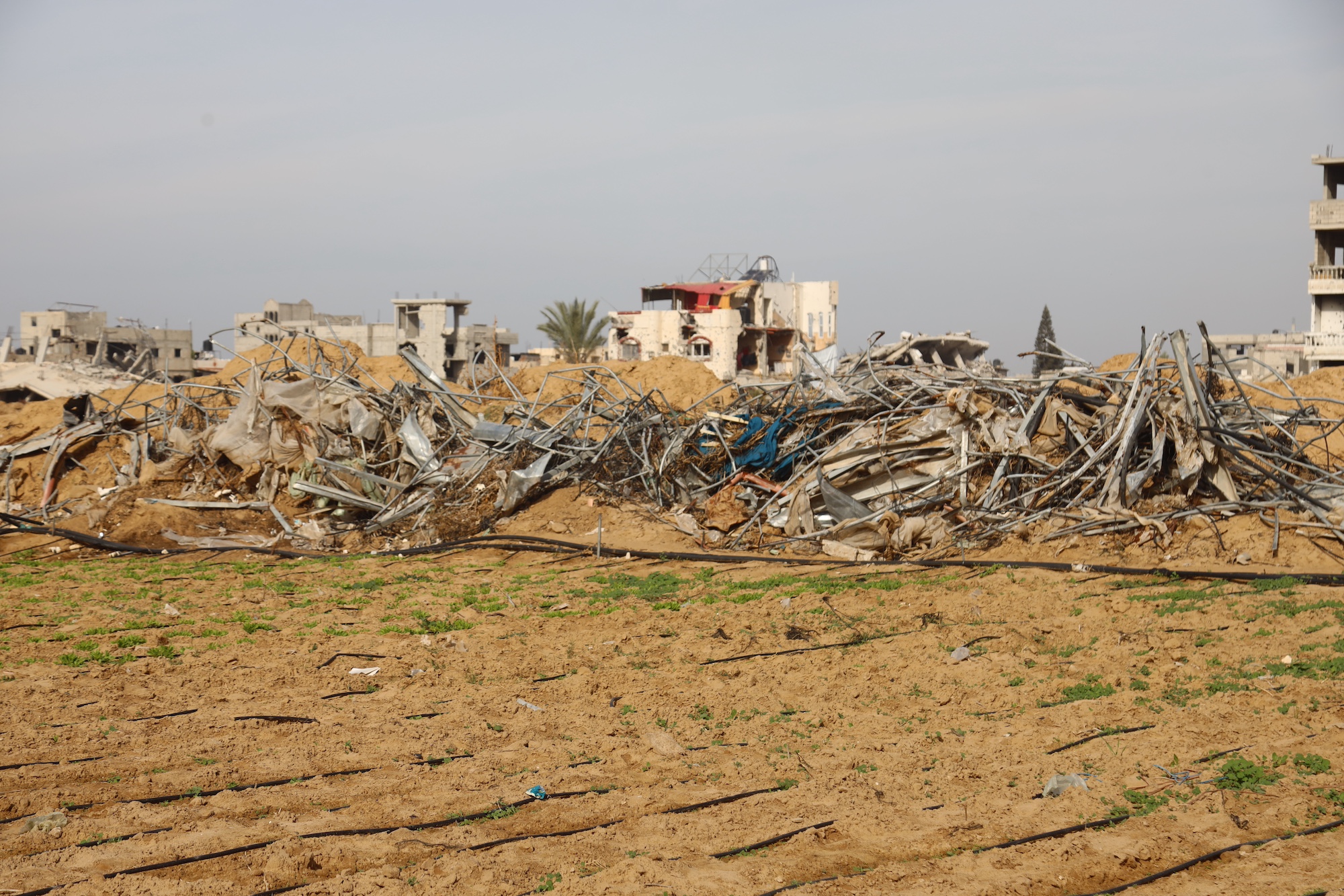 Gaza’s agricultural infrastructure continues to deteriorate at alarming rate