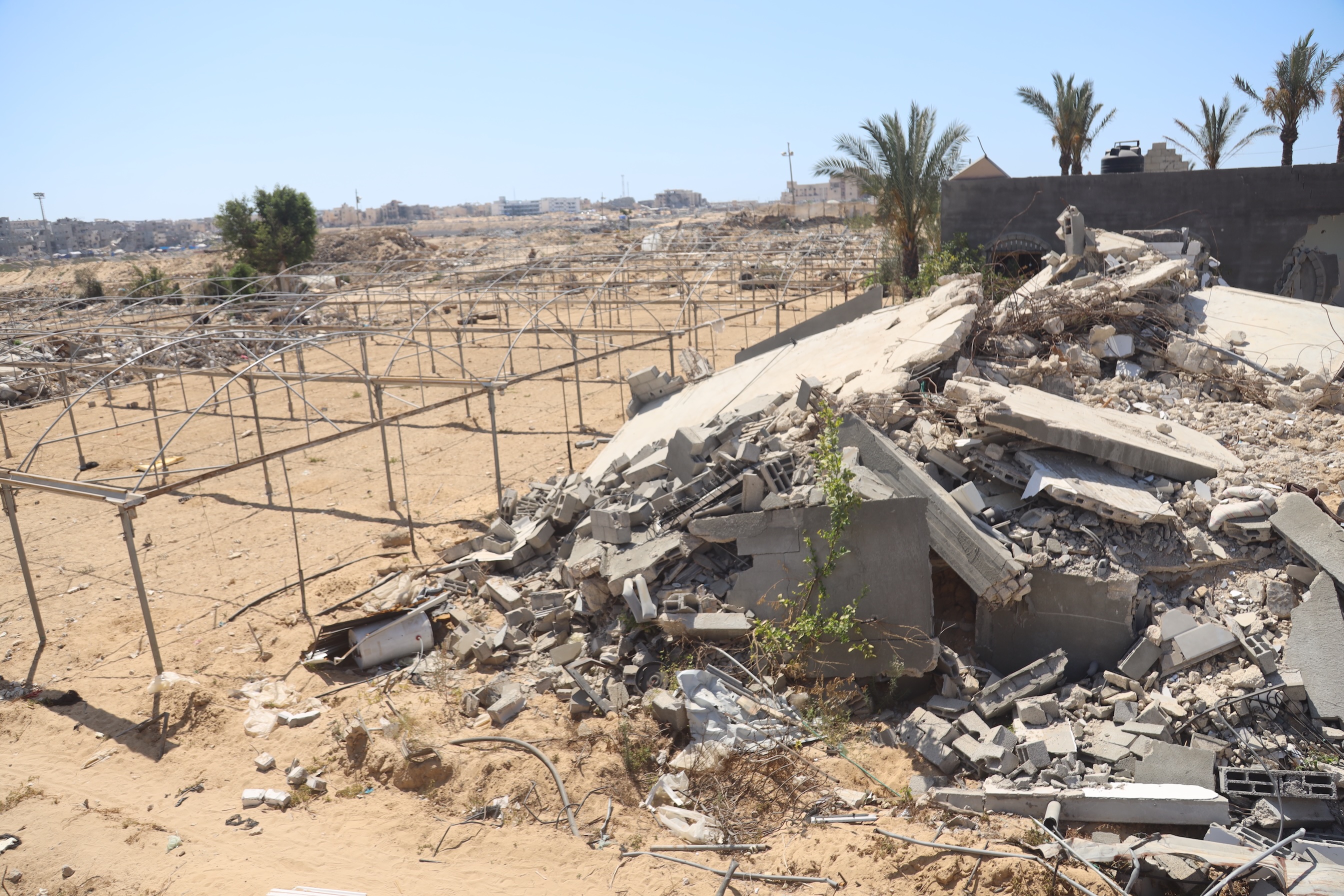 Gaza: Geospatial data shows intensifying damage to cropland
