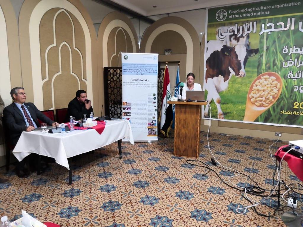 Regional workshop discusses stronger control of transboundary animal and plant diseases and pests in Iraq and Syria