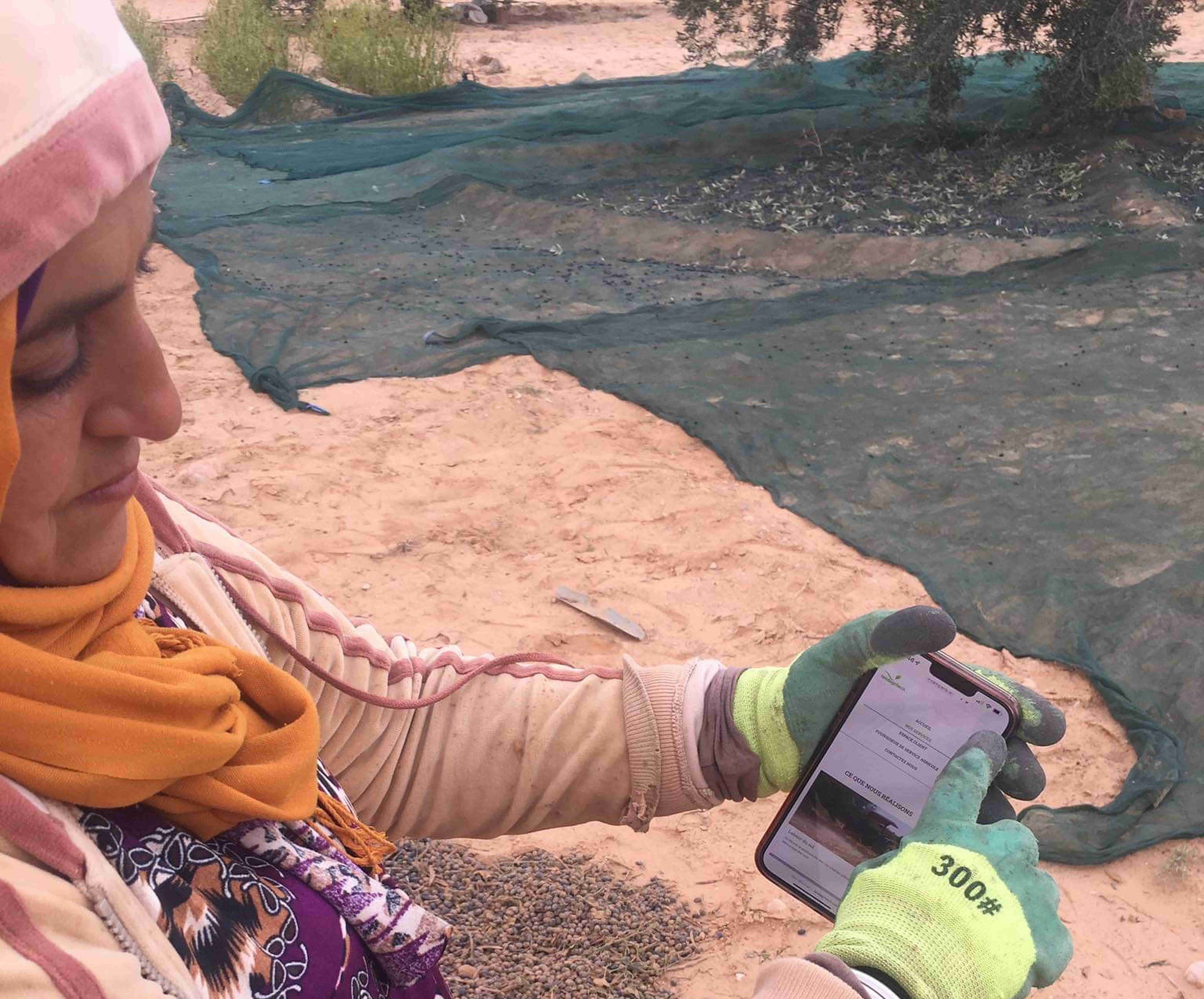Empowering Women and youth in Agriculture Through Digitalization: evidence from the SALAM-MED project in Tunisia