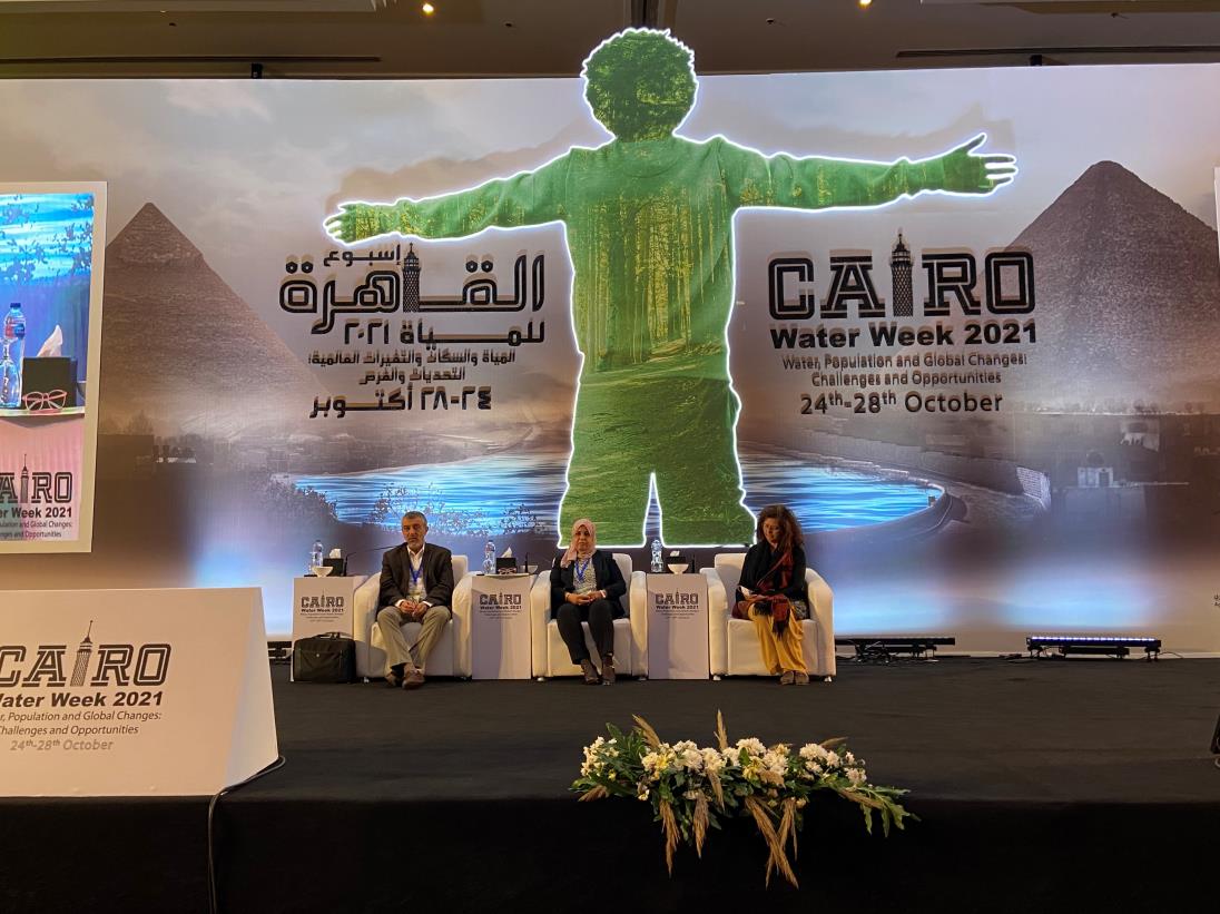 FAO discusses water accounting and auditing in practice at the fourth Cairo Water Week