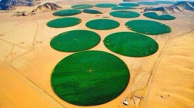 Towards efficient agricultural water use in Libya