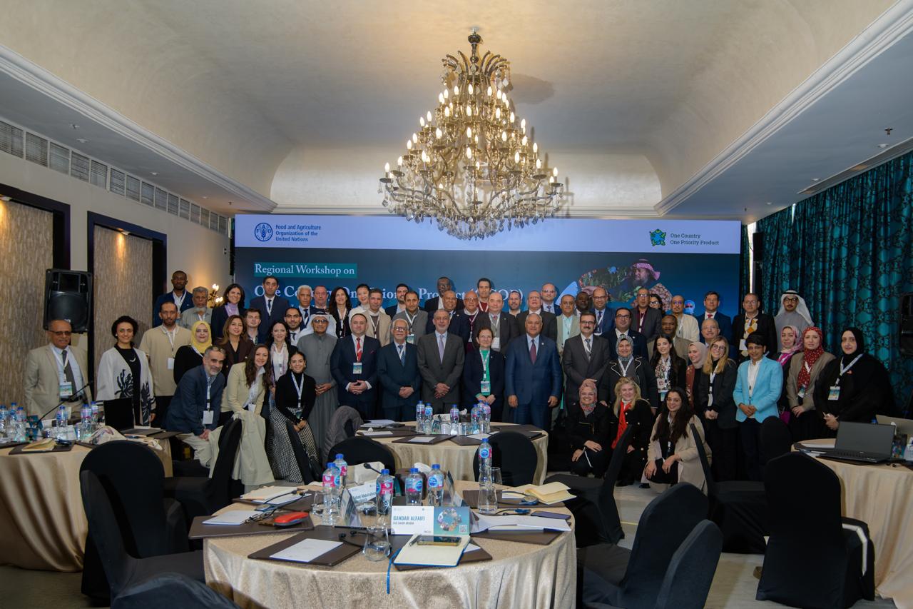 FAO hosts a workshop on sustainable agrifood Systems in the Near East and North Africa region